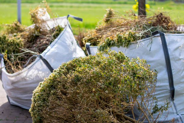 Best Estate Cleanout Services  in Malmstrom Af, MT